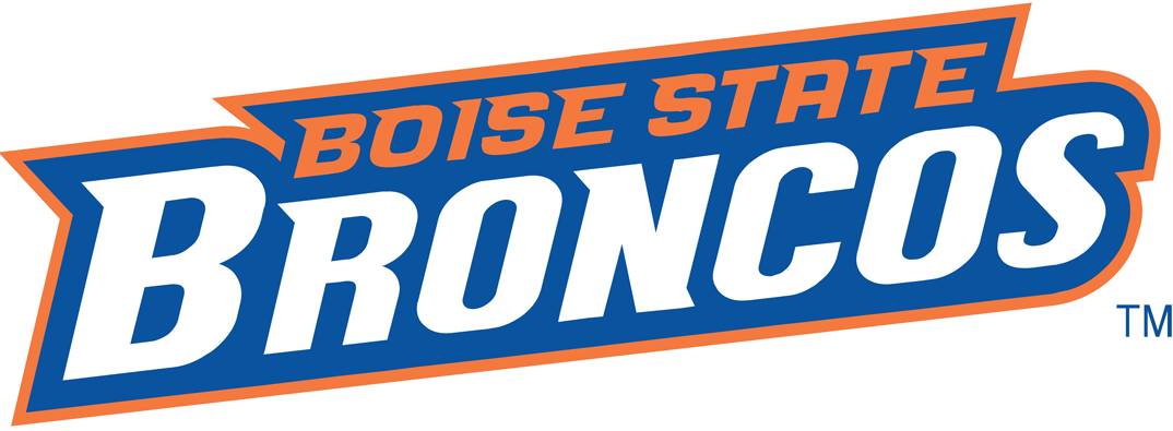 Boise State Broncos 2002-2012 Wordmark Logo iron on transfers for fabric